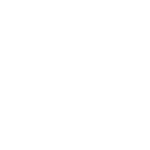 Placas y clavos para Fémur